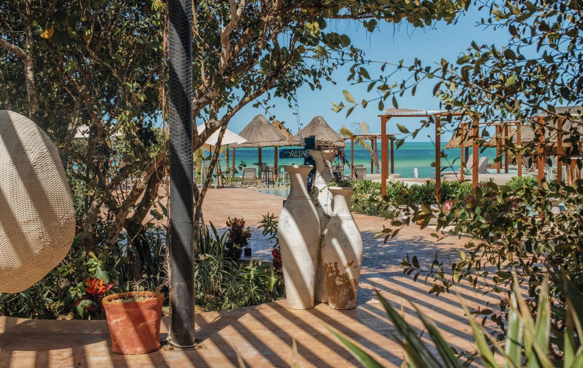 Totem Beach Club Celestun Extérieur photo